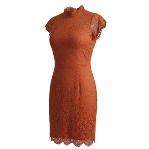Elegant lace cocktail dress knee length NWT sz 10 to 12, L burnt brown